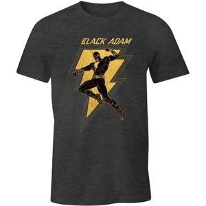 dc comics MEBLADMTS010 T-shirt, antraciet, L heren, Antraciet, L