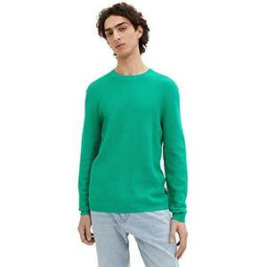 TOM TAILOR Denim Uomini trui 1035320, 31040 - Fresh Peppermint, XL