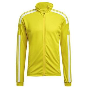 adidas Heren Squadra 21 Training Jacket, Team Yellow/White, XS