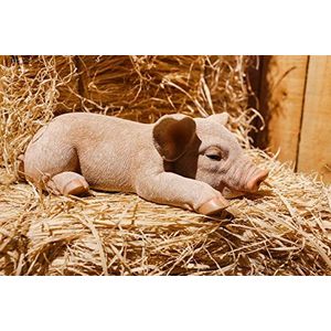 RUNADI Hi- Line Gift 87686-A Varken slapend standbeeld