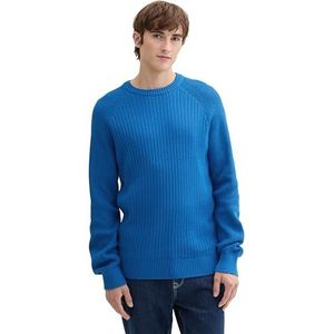 TOM TAILOR Denim heren trui, 21718 - Lapis Azul Blue, XL