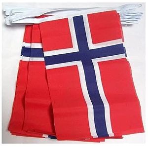 Noorwegen 4 meter BUNTING Vlag 20 vlaggen 6'' x 4'' - Noorse STRING vlaggen 10 x 15 cm - AZ FLAG