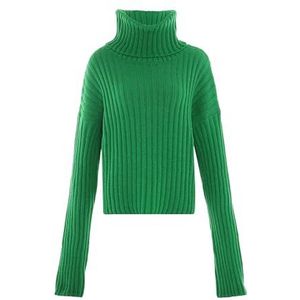 Libbi Blonda Rolkraagpullover voor dames, modieuze taille en lange mouwen, acryl, groen, maat XS/S, groen, XS