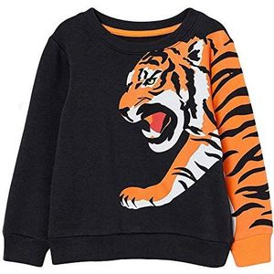 EULLA Trendy sweatshirt met lange mouwen voor jongens, Tiger 1, 12-24 Maanden