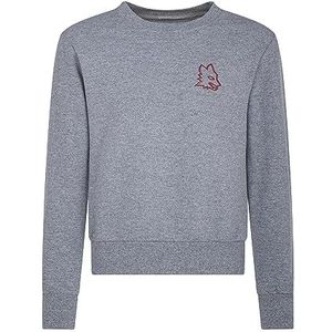 GIL S.R.L. Roma Lupa 3D Sweatshirt Grijs Kind 4Y-6Y, Grijs, 4-6 anni