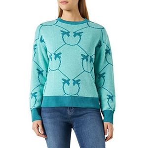 Pinko Abbey Road Jacqu Katoenen tricot met lange mouwen zonder kraag voor dames, Sg1_aqua/petrol, XXL