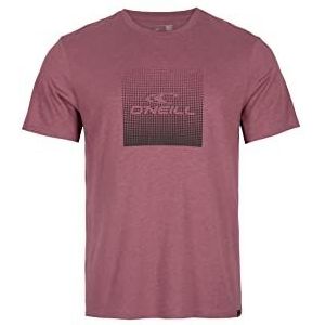 O'NEILL Tees T-shirt met korte mouwen Gradient Cube T-shirt, 13013 nacht, regular (set van 2) voor heren