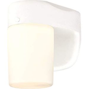 61068 dimbare led-buitenwandlamp, enkele lamp, witte afwerking met mat opaalglas
