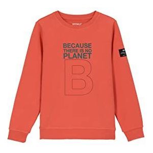 ECOALF, Kids Balf sweatshirt van katoen, gerecyclede stof, katoenen sweatshirt voor kinderen, sweatshirt met mouwen, basic sweatshirt, Oranje, 6 jaar
