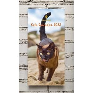 Collins Kattenkalender 2022-390x180mm Wiro Wandkalender