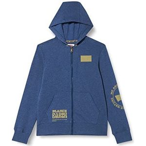 Levi's Kids Lvb Graphic sweatshirt met capuchon met capuchon voor jongens, Landgoed Blue Heather, 24 Maanden