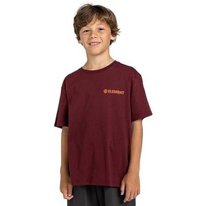 Element T-Shirt Blazin Jongens 8-16 Rood S
