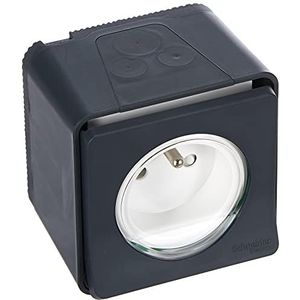 Schneider Electric SC5SHN0212454 wandcontactdoos Mureva Styl 2-polig + opbouwaarde, 250 V, grijs, 1 verpakking