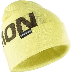 Salomon Hermitage Beanie Ski Snowboarden Wandelen Uniseks Beanie Ski Snowboarden Wandelen, Winter Warm Warm en Veelzijdig Wear, Zacht Comfort