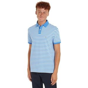 Tommy Hilfiger Heren S/S Polo's, Blauwe spreuk/Wit, 3XL grote maten tall
