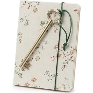 Mopec AA291 Notitieboek met viltstift, gouden sleutel, 18,4 x 13 cm, meerkleurig, normaal