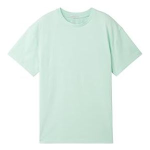 TOM TAILOR T-shirt voor jongens, 34606 - Pastel Apple Green, 164 cm