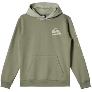 Quiksilver Fleece trui OMNI LOGO HOODIE JEUGD Jeugd Groen 12