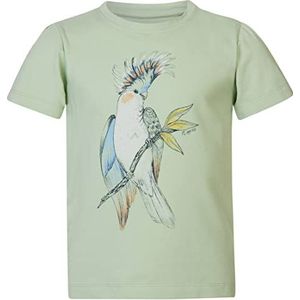Noppies Pemberton T-shirt met korte mouwen voor meisjes en meisjes, Sea Foam, 110 cm