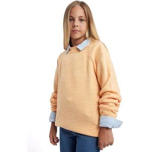 DeFacto Kleine baby jongens geruit flanellen hemd lange mouwen button-down overhemden oversize fit polo hals, oranje, 9-10 Jaar