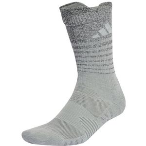 adidas IM1221 RUN XCITY REFLE Sokken Unisex Volwassenen Wonder Zilver/Reflecterend Zilver/Wonder Silver Maat L