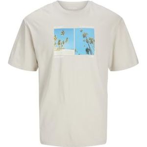 Jjporto Tee Ss Crew Neck, maanbeam, S