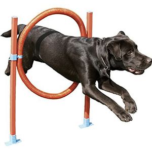 Rosewood 02492 Agility-springbanden voor honden