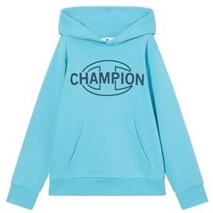 Champion Authentic Athletic Apparel Sweatshirt  aqua / zwart