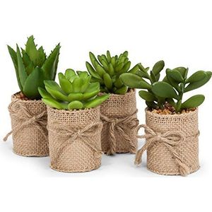 Abbott Collectie Set van 4 groene vetplanten in jute WRAP, bruin