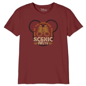 Disney T-shirt voor jongens, Bourgondië, 10 Jaar
