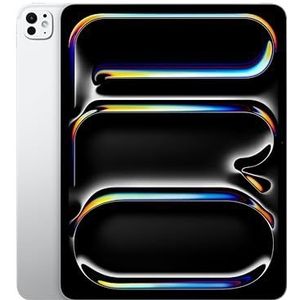 Apple 13-inch iPad Pro (Wi-Fi, 2 TB, Glas met nanotextuur) - Zilver (M4)