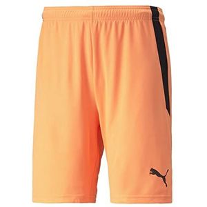 PUMA Korte broek merk model TeamLIGA shorts