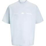 Jack & Jones - Shirt - Lichtgrijs/Wit - Ronde Hals - Kwartmouw