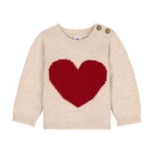 Petit Bateau Baby Jongens Trui met lange mouwen, Avalanche/Corrida, 12 Maanden