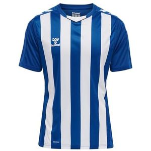 hummel Jersey S/S Hmlcore Multisport heren maat