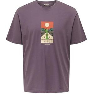 Only & Sons Onsbeane Rhaba Ss RLX Tee, Black Plum, XXL