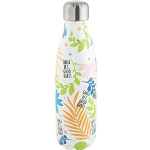 Roestvrijstalen flessen 500 ml