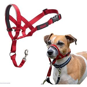HALTI Hoofdharnas, maat 1, rood - voorkomt dat je hond aan de lijn trekt, eenvoudige aanpassing, licht, met gevoerde neusriem, anti-trekhalsband voor kleine honden