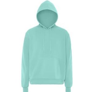 beach budz Sweatshirt met capuchon voor heren, IJsmunt, L