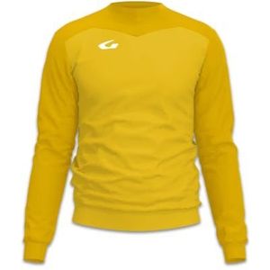 Gems IN01-0729 Borussia Heren Lang Tricot Geel/Donkergeel Maat XL