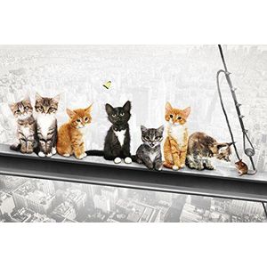Katten op stalen drager- New York Kittens - leuke steden poster poster print - grootte 91,5x61 cm