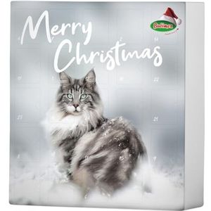 Bubimex Adventskalender voor katten, 192 g