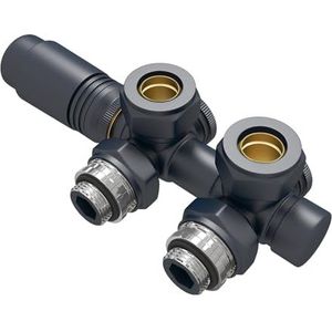 EMKE Multiblock Ventielarmaturen voor radiatoren, kraanblok, verwarmingsaccessoires, hoek en doorgangsvorm, ventielkraanblok, radiatorventiel met thermostaat, 1 stuk, antraciet