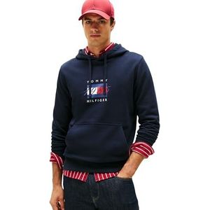 Tommy Hilfiger - Hoodie - Desert Sky - LINEAR FLAG GRAPHIC