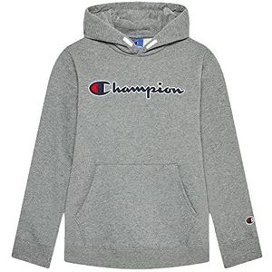 Champion Sweatshirt van het merk model Sweat à Capuche Garçon 305765