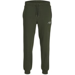 JACK & JONES Jpstgordon Jjferris joggingbroek voor heren, Combu Green, L