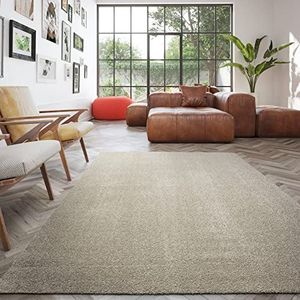 Machinewasbaar tapijt, ook voor de wasmachine, eenkleurig tapijt voor woonkamer, slaapkamer, geschikt voor vloerverwarming, recyclebaar, onderhoudsvriendelijk, 100% polypropyleen, 120 x 170 cm, beige