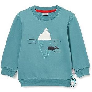 sigikid Mini Polar Expedition Sweatshirt voor jongens, turquoise, 110 cm