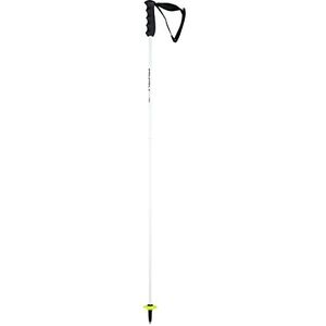 HEAD Unisex – Worldcup Rebels Carbon Skistokken, Zwart/Wit, 125