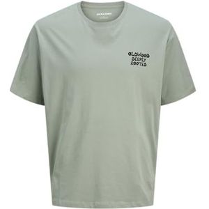 JACK & JONES Jjwobly Tee Ss Crew Neck, Iceberg Green., S